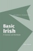 Basic Irish - A Grammar and Workbook (Paperback) - Nancy Stenson Photo