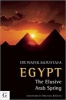 Egypt the Elusive Arab Spring (Paperback) - Moustafa Wafik Photo