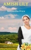 Amish Lily (Paperback) - Samantha Price Photo