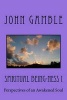 Spiritual Being-Ness I - Perspectives of an Awakened Soul (Paperback) - John Gamble Photo