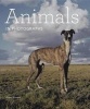 Animals in Photographs (Hardcover) - Arpad Kovacs Photo