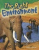 The Right Environment (Grade 3) (Paperback) - Debra Housel Photo