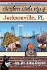 The Three Little Pigs of Jacksonville, FL (Paperback) - Dr Silly Goose Photo