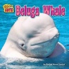 Beluga Whale (Hardcover) - Rachel Anne Cantor Photo