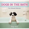 Dogs in the Bath - The Ultimate Collection (Hardcover) - Hugo Ross Photo