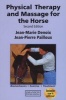 Physical Therapy and Massage for the Horse - Biomechanics-Excercise-Treatment (Paperback, 2nd Revised edition) - Jean Marie Denoix Photo