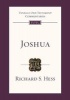 Joshua - An Introduction and Survey (Paperback) - Richard S Hess Photo