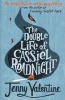 The Double Life of Cassiel Roadnight (Paperback) - Jenny Valentine Photo