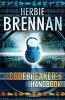 The Codebreaker's Handbook (Paperback, Main) - Herbie Brennan Photo