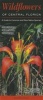 Wildflowers of Central Florida - A Guide to Common & Rare Native Species (Poster) - Roger L Hammer Photo