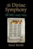 The Divine Symphony - The Bible's Many Voices (Hardcover, New) - Israel Knohl Photo