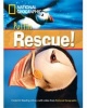 Puffin Rescue!, A2 (Paperback) - Rob Waring Photo