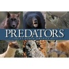 Predators of North America (Hardcover) - Dave Taylor Photo