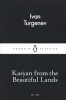 Kasyan from the Beautiful Lands (Paperback) - Ivan Turgenev Photo