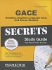 GACE Special Education: Reading, English Language Arts, and Social Studies Secrets Study Guide (Paperback) - Gace Exam Secrets Test Prep Team Photo