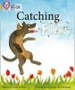 Catching Flies - Band 09/Gold (Paperback) - Collins Big Cat Photo