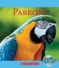 Parrots (Paperback) - Ruth Bjorklund Photo