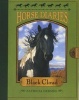 Horse Diaries #8: Black Cloud (Paperback) - Patricia Hermes Photo