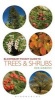 Pocket Guide to Trees and Shrubs (Paperback) - Bob Gibbons Photo