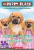 Sugar, Gummi and Lollipop (the Puppy Place #40) (Paperback) - Ellen Miles Photo