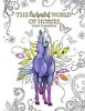 The Enchanted World of Horses - Adult Coloring Book (Paperback) - Cindy El Sharouni Photo