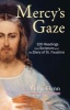 Mercy's Gaze (Paperback) - Vinny Flynn Photo