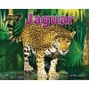 Jaguar (Hardcover) - Ellen Lawrence Photo