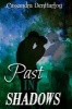 Past in Shadows (Paperback) - Cassandra Denhartog Photo