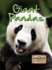 Giant Pandas (Paperback) - Tom Greve Photo