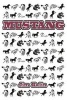 Mustang (Paperback) - Jim Kalin Photo