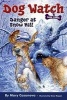 Danger at Snow Hill (Paperback) - Mary Casanova Photo