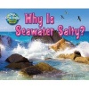 Why Is Seawater Salty? (Hardcover) - Ellen Lawrence Photo