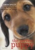 The Perfect Puppy - Take Britain's Number One Puppy Care Book with You! (Paperback, Rev Ed) - Gwen Bailey Photo