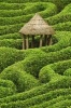 Hut in a Hedge Maze Journal - 150 Page Lined Notebook/Diary (Paperback) - Cool Image Photo