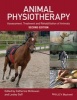 Animal Physiotherapy - Assessment, Treatment and Rehabilitation of Animals (Paperback, 2nd Revised edition) - Lesley Goff Photo