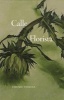 Calle Florista (Paperback) - Connie Voisine Photo