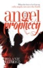 The Angel Prophecy - When the Forces of Evil Rise Up, Only Angels Can Save the Earth (Paperback) - Melanie Redmond Photo