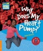 Why Does My Heart Pump? Level 6 Factbook, Level 6 (Paperback) - Helen Bethune Photo