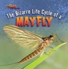 The Bizarre Life Cycle of a Mayfly (Paperback) - Greg Roza Photo