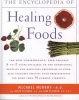 Encyclopedia of Healing Foods (Paperback, 1st Atria Books hardcover and trade pbk. eds) - MurrayPizzorno Photo