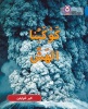 Collins Big Cat Arabic Readers - Fragile Earth: Level 16 (Paperback) - Claire Llewellyn Photo