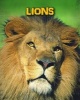 Lions (Paperback) - Claire Throp Photo