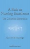 A Path to Nursing Excellence - The Columbia Experience (Paperback, New) - Mary ONeil Mundinger Photo