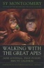 Walking with the Great Apes - Jane Goodall, Dian Fossey, Birutae Galdikas (Paperback) - Sy Montgomery Photo