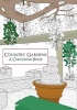 Country Gardens a Colouring Book (Paperback) - Amberley Archive Photo