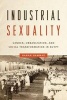 Industrial Sexuality - Gender, Urbanization, and Social Transformation in Egypt (Paperback) - Hanan Hammad Photo