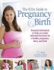 ICEA Guide to Pregnancy and Birth (Paperback) - Megan McGinnis Photo