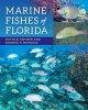 Marine Fishes of Florida (Paperback) - David B Snyder Photo