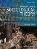 Introduction to Sociological Theory - Theorists, Concepts, and Their Applicability to the Twenty-first Century (Paperback, 2nd Revised edition) - Michele Dillon Photo