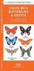 Costa Rica Butterflies and Moths - A Folding Pocket Guide to Familiar Species (Pamphlet) - James Kavanagh Photo